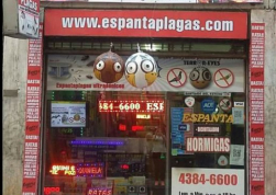 local